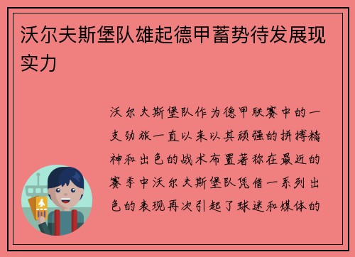 沃尔夫斯堡队雄起德甲蓄势待发展现实力