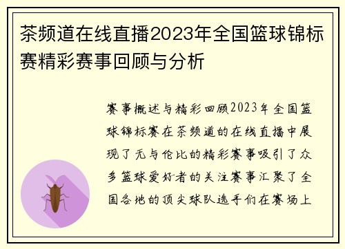茶频道在线直播2023年全国篮球锦标赛精彩赛事回顾与分析